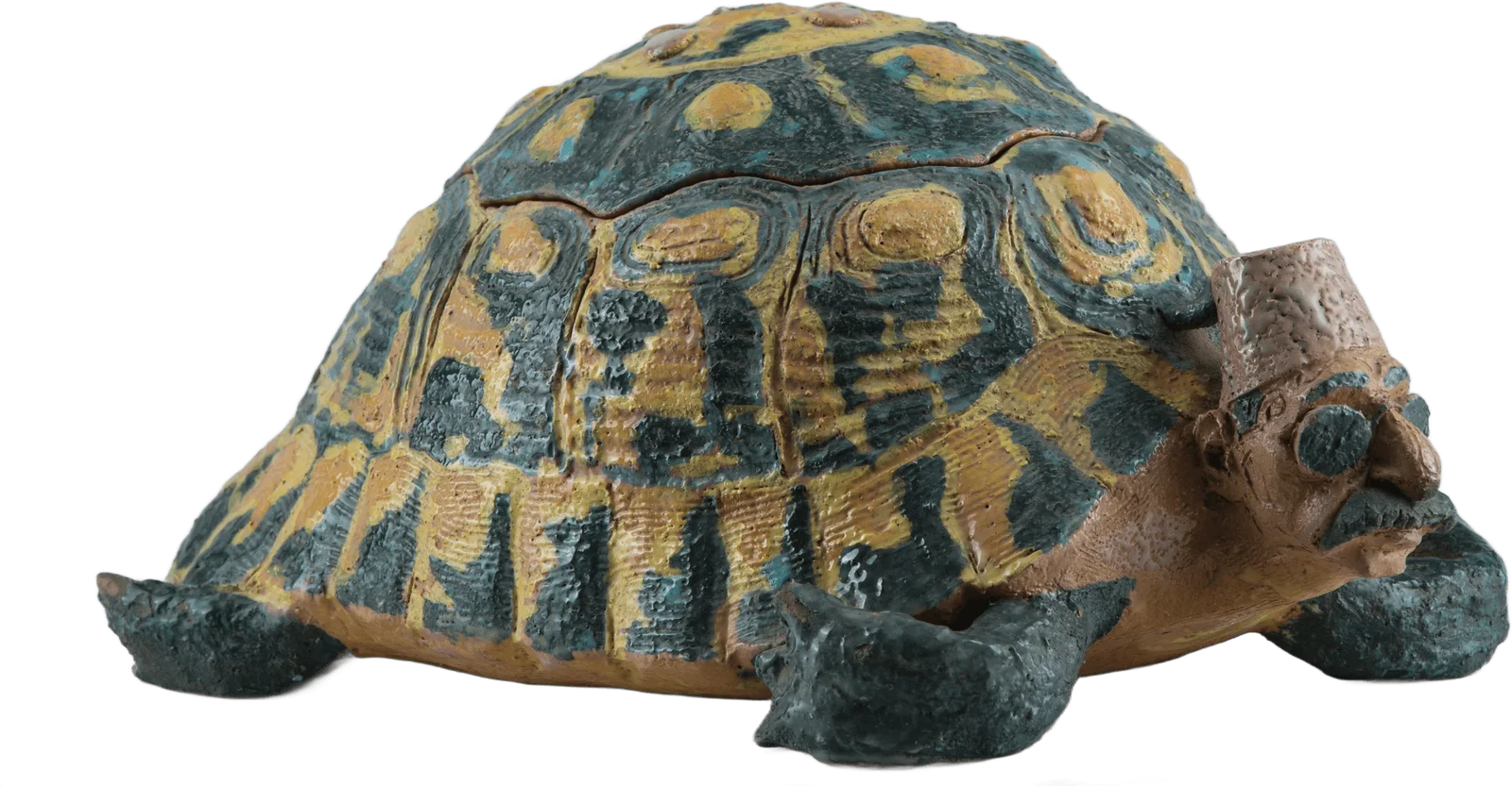 Turtle Pacha