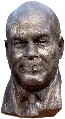 Ali Amin