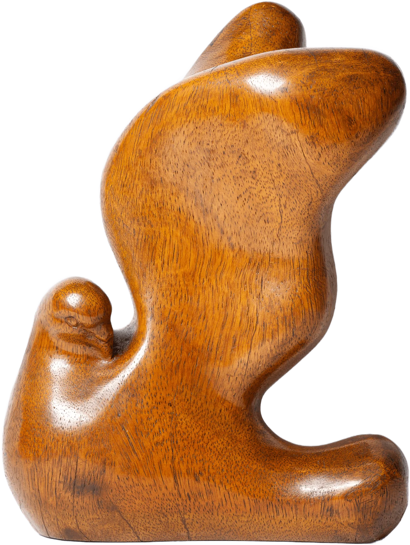 The Dove